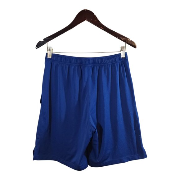 Nike Dri-FIT Mesh Athletic Shorts in Blue Workout Activewear Casual Men's L - Picture 4 of 6